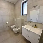 In Croatia Near The Adriatic Coast *